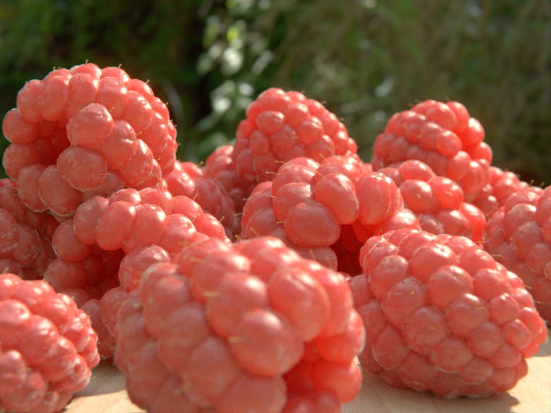 raspberries preview image 1